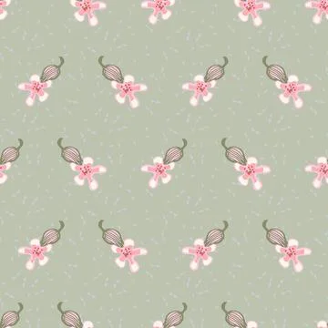 Saponaria flowers seamless vector pattern Stock Illustration