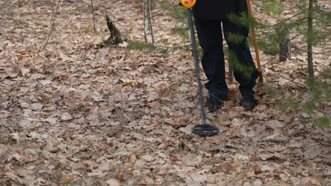 Sapper searches for mines, explosive elements using metal detector. Stock Footage 266406874