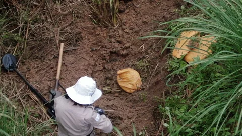 A sapper sets a detonator to detonate a mine. Stock Footage 283797316