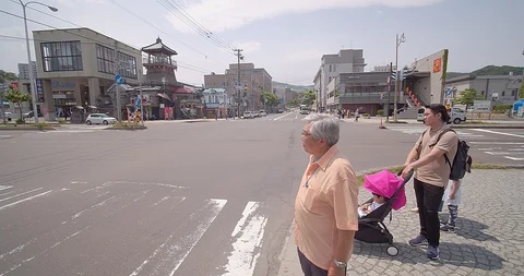 Sapporo Japan Stock Footage 113441324