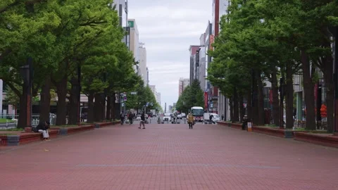Sapporo Red Brick Road and Background Urban Landscape of Hokkaido Japan Shot Stock Footage 336730326