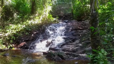 Sapyranga Waterfall. Small Waterfall located in the Sapyranga reserve. Stock Footage 201791002