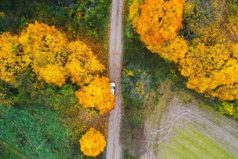 Сar standing under a yellow tree. Beautiful autumn forest. Drone photo. Aerial Stock Photos