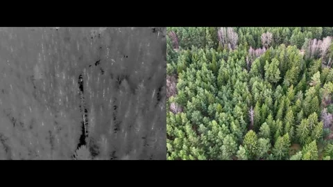 SAR video split 3 Stock Footage 328357713