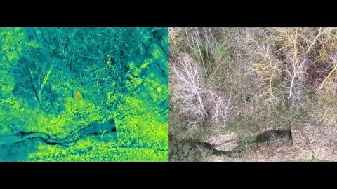 SAR video Split 4 Stock-Footage 328698805