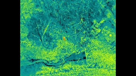 SAR video Thermal 4 Stock Footage 328698819