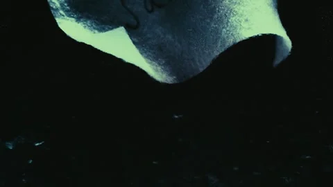 'Sarah' Written on a Page Dissolves in Water and Sinks Stock Footage 300892416