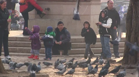 Sarajevo: Children playing with pigeons Stock Footage 34296822