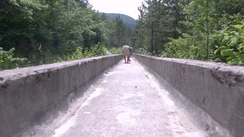 Sarajevo Olympic Bobsleigh Stock Footage 83670000