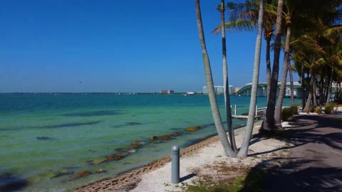 Sarasota Bridge 1 Stock Footage 153059228