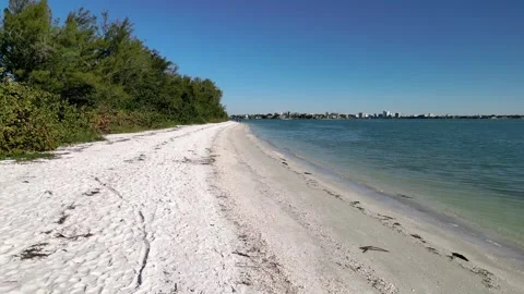 Sarasota, FL Stock Footage 301950660