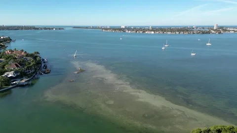 Sarasota, Florida Stock Footage 302571915