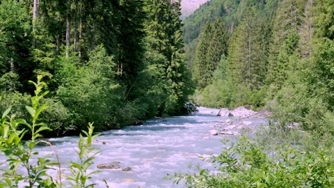 Sarca river landscape Stock Footage 168064319