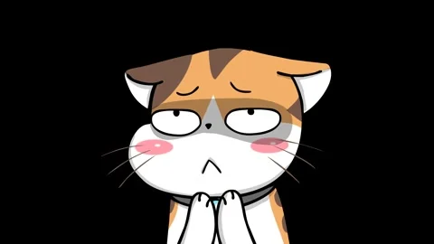 Sarcastic Clapping Kitten Animation - Transparent Background Stock Footage 282772722