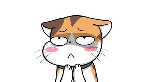 Sarcastic Clapping Kitten Animation - White Background Video stock 282772734