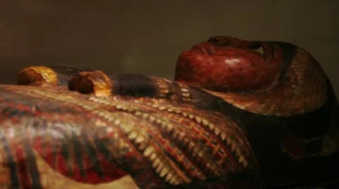Sarcophagus Stock Footage 19559488