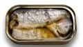sardine can animation HD Footage