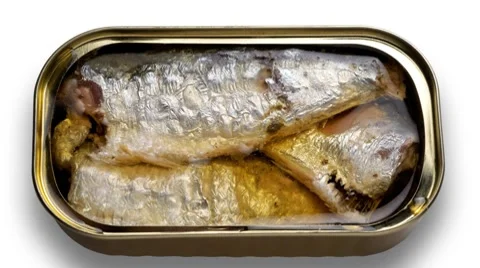 Sardine can animation Stock Footage 8827067