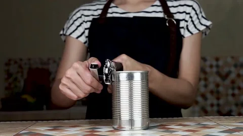 Sardine Can Stock Footage 157797682