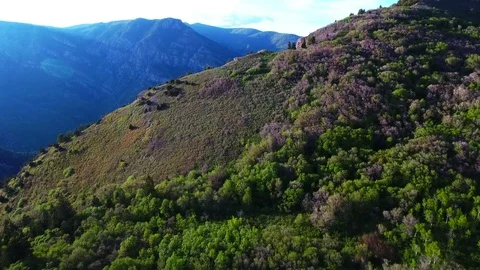 Sardine Peak Flyover Stock Footage 87364398