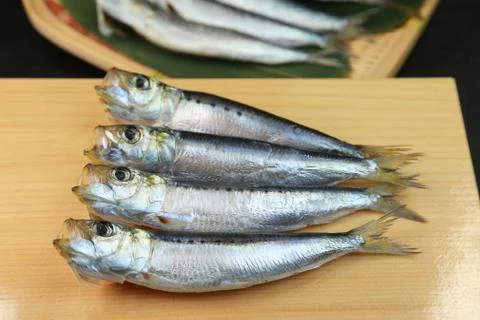 Sardine Stock Photos