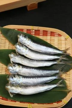Sardine Stock Photos