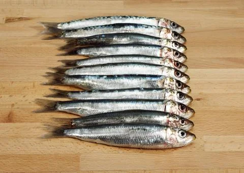 SARDINE Stock Photos