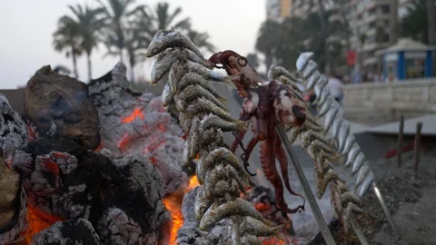 Sardines and octopus in a stick in front of the fire being cooked Stock Footage 112744113