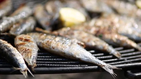 Sardines on the BBQ Stock Footage 80114012