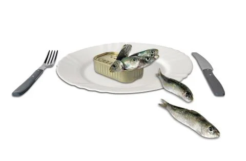 Sardines in a can Stock Photos