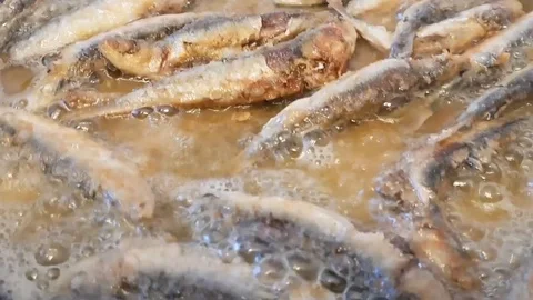 Sardines fried in a pan Stock Footage 107209274