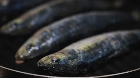 Sardines on grill Stock Footage 88798639