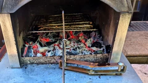 Sardines Grilling Over Open Coals in Riga Stock Footage 337925264