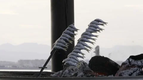 Sardines in Malaga Stock Footage 256232886