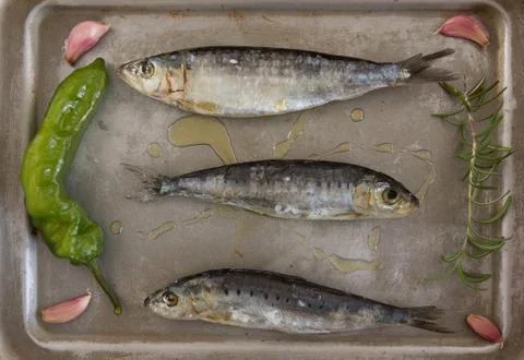 Sardines Stock Photos
