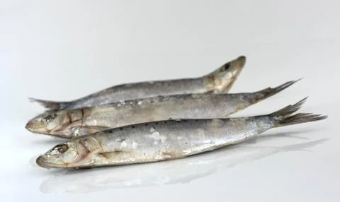 Sardines Stock Photos