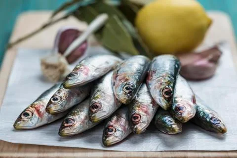 Sardines Stock Photos