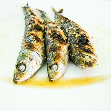 Sardines Stock Photos