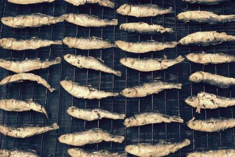 Sardines Stock Photos