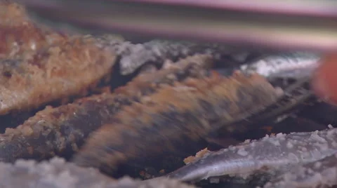 Sardines roasting on coal 2 Stock Footage 51943701