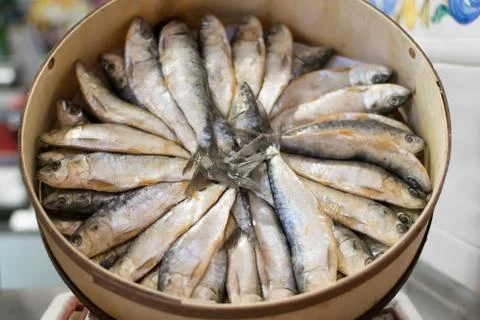 Sardines in a round box. Stock Photos