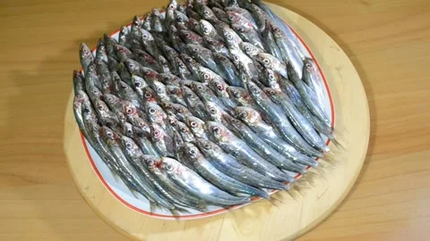 The sardines in a row are turned with the plate on the table. Stock Footage 150701752