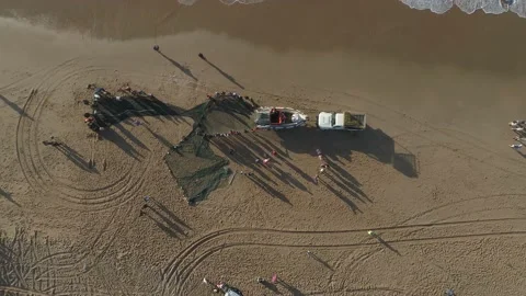 Sardines Run netting Stock Footage 134676596