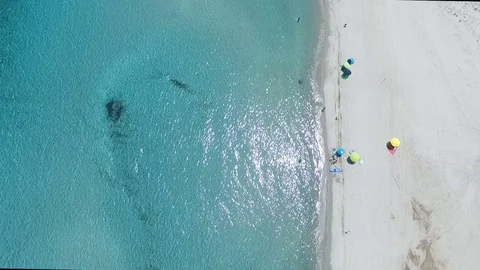 Sardinia - June 2017 Video stock 80796076