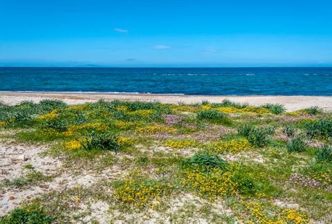 Sardinian beach in spring Stock Photos