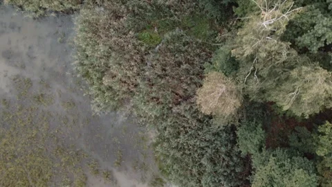 Saren group Stock Footage 252040044