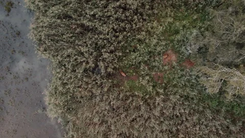 Saren group Stock Footage 252040112