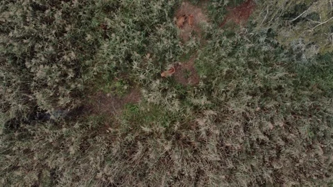 Saren group Stock Footage 252040117