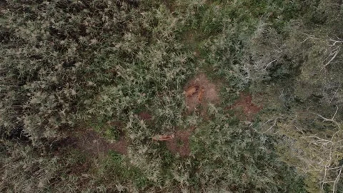 Saren group Stock Footage 252040119