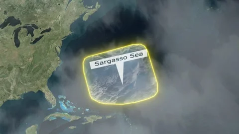Sargasso Sea Map - Clouds Effect Video stock 266985264